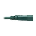 thumbnail image 6 of Tripp Lite 3 ft. Heavy Duty Power Extension Cord, C14 to C13, 15A, 14 AWG, Green (P005-003-AGN), 6 of 8