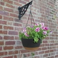 thumbnail image 6 of 10 Inch Hanging Planter, 2 Pack Plant Hanger Indoor Outdoor, Self Watering Plant Pot Hanging Baskets Holder Plants for Garden Home-Gray, 6 of 8