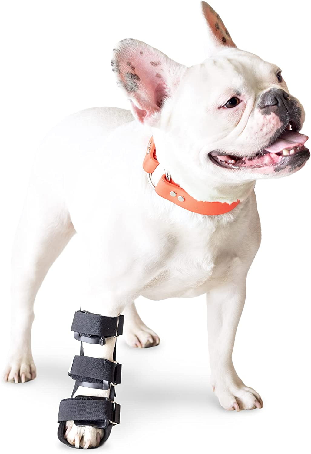 Walkin Pets Front Leg Splint For Dogs With Arthritis And Injuries walkin-pets-front-leg-splint-for-dogs-with-arthritis-and-injuries