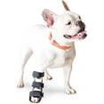 thumbnail image 1 of Walkin’ Pets Front Leg Splint - For Dogs with Arthritis and Injuries, 1 of 8