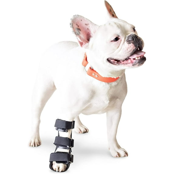 Walkin’ Pets Front Leg Splint - For Dogs with Arthritis and Injuries