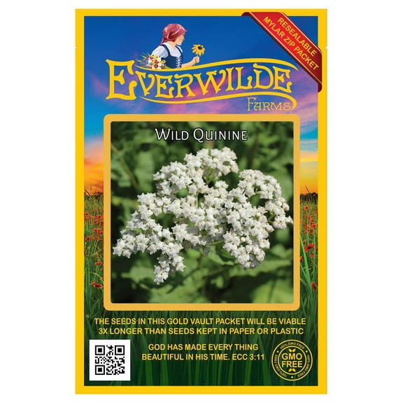 Everwilde Farms - 200 Wild Quinine Native Wildflower Seeds - Gold Vault Jumbo Bulk Seed Packet