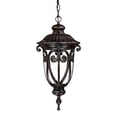 thumbnail image 2 of One Light Outdoor Hanging Lantern, 2 of 3