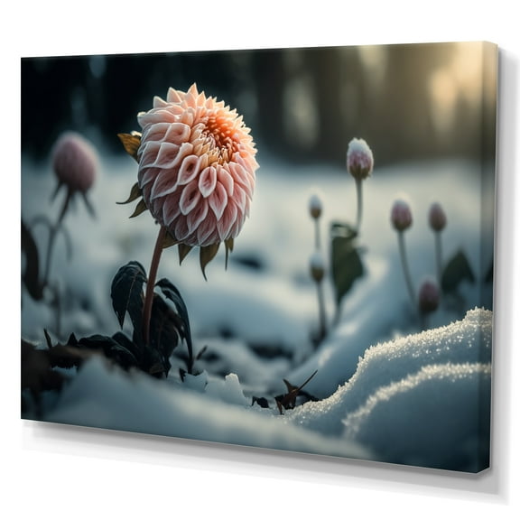 Designart A Blooming Pink Dahlia Flower In Winter I Canvas Wall Art