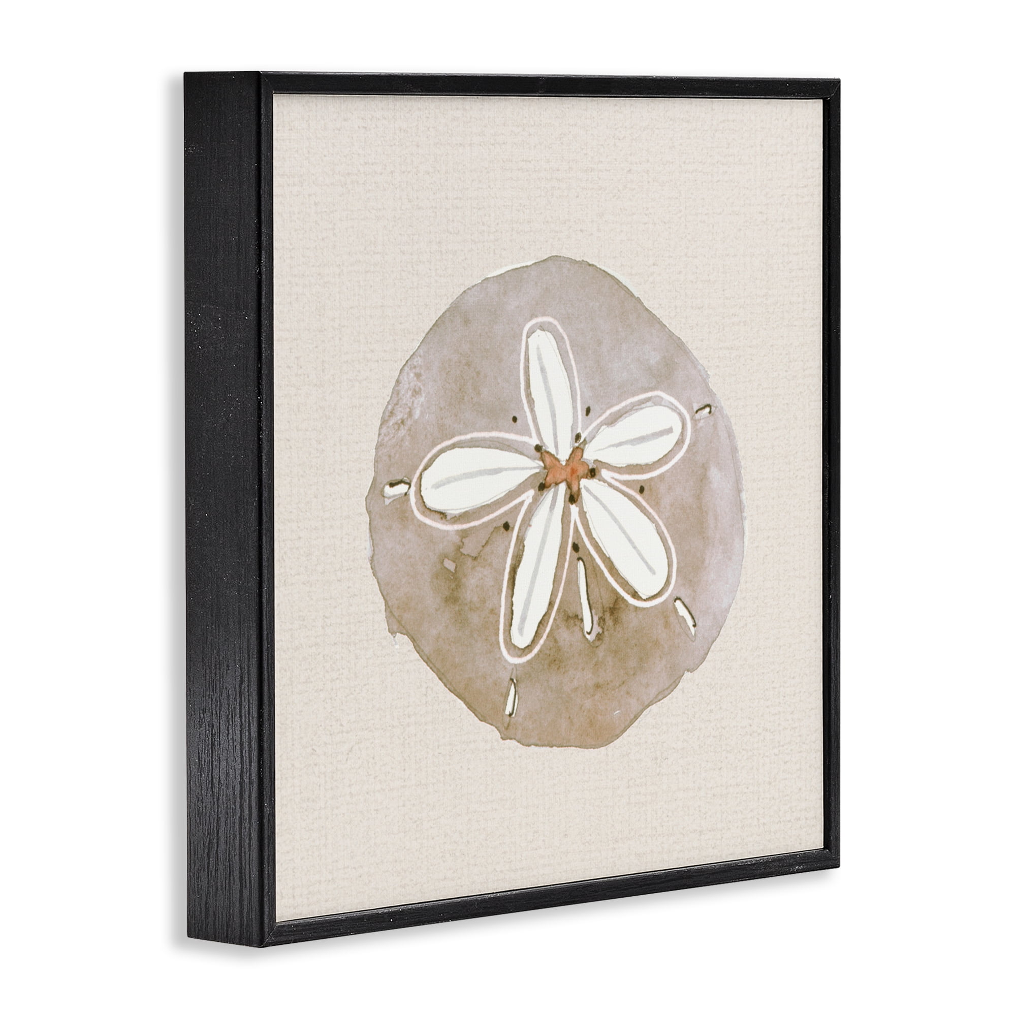 Stupell Industries Serene Beige Sand Dollar Black Framed Giclee Art, design by Lanie Loreth