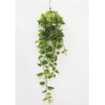 thumbnail image 3 of Artificial  Hanging Philodendron Bush - 32", 3 of 3