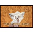 thumbnail image 1 of Carolines Treasures LH9459JMAT 24 X 36 In. Chinese Crested Wipe Your Paws Indoor Or Outdoor Mat, 1 of 4