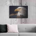 thumbnail image 6 of Luxe Metal Art 'Bald Eagle Study' by Chris Vest, Metal Wall Art, 36"x24", 6 of 7