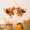 B, variant on YIKA Halloween Decoration Pumpkin Maple Leaf Wreath Autumns Maple Leaf And Mini Pumpkins Hanging With Fall Harvests Wall Hanging For Fireplace Porch And Party Indoor Outdoor Fall Decor