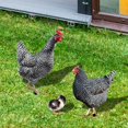 thumbnail image 4 of YIEMEEN 3x Acrylic Animal Stakes Rooster Hen Chicken Ornaments Yard Garden Spring Decor, 4 of 9