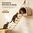thumbnail image 2 of WeeWhimsy Adjustable Cat Ladder & Bridge Multi-Functional Wall Furniture Climbing Frame Sisal-Rope Wrapped Rungs for Climbing Indoor Cats, Small Pet Cage Accessories (Wood), 2 of 8