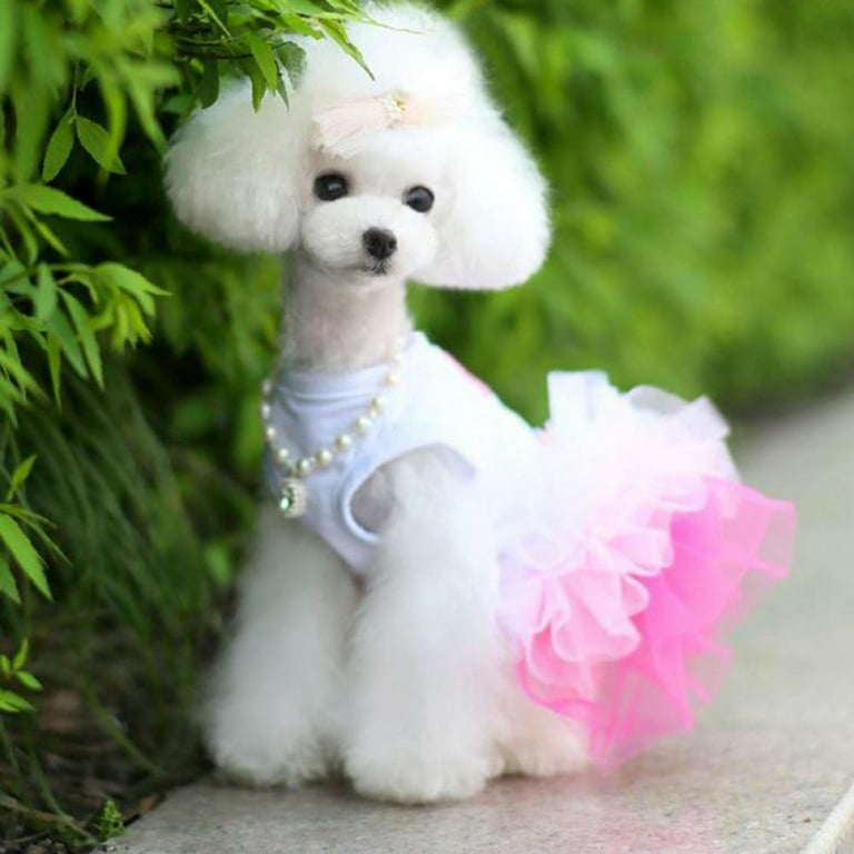 Yikeyo Dog Dress Puppy Clothes for Small Dogs Girl Yorkie Chihuahua  Princess Lace Tutu Doggie Dresses Dog Summer Clothes Outfit Small Dog  Clothes