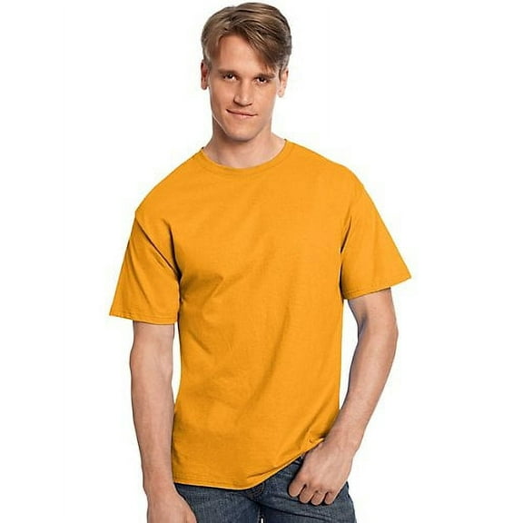 Hanes Authentic T-Shirt