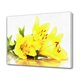 thumbnail image 1 of Hermoso póster de flores de lirios amarillos, pintura decorativa, lienzo, arte de pared, carteles para sala de estar, pintura para dormitorio, estilo marco, 20 x 30 cm, 1 of 8