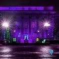 thumbnail image 4 of 2 Pack BlueX LED Par38 Flood Purple Light Bulb - 18W (120Watt Equivalent) - Dimmable - E26 Base Purple LED Lights, Party Decoration, Porch, Home Lighting, Holiday Lighting, Purple Flood Light, 4 of 4