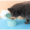 thumbnail image 4 of Cuenco para gatos, cuenco para perros, cuenco elevado para gatos, cuenco antivómitos para gatos, cuenco antideslizante para comida y agua, para cara plana, gato, perro pequeño (verde + verde) MFZFUKR ZYY-0227, 4 of 5