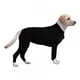 thumbnail image 3 of Mono de manga larga para perros y mascotas, abrigo para perros, cuello electrónico, recuperación alternativa Fairylove 748478922, 3 of 7