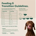 thumbnail image 2 of Jinx Salmon, Sweet Potato, & Carrot Grain Free Dry Dog Food, 30lb Bag, 2 of 11
