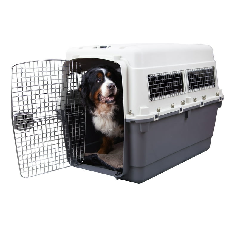 SportPet Designs Airline Approved Plastic Dog Kennel with Wheels