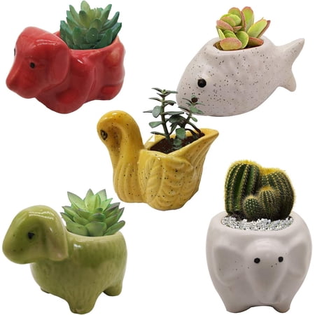 India Meets India Ceramic Flower Pot Planter Plant Pot Indoor Planter Handicraft by Awarded Indian Artisan (Dog, Sheep, Elephant, Fish and Turtle (Set of 5))