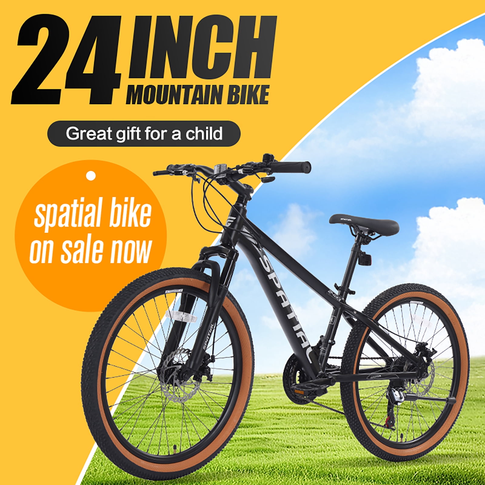 24" Wheel Mountain Bike, 21 Speed with Dual Disc Brake Mountain Bicycle, Aluminum Frame Fits Teens Womens Mens MTB Cycling Bikes