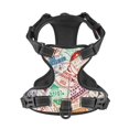 thumbnail image 4 of Junzan Passport Stamp Pattern Dog Harness - Lightweight,Soft,Adjustable Small Harness And Leash Set-Medium, 4 of 8