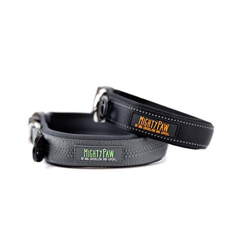 Mighty Paw Neoprene Padded Running Dog Collar Sports Collar With