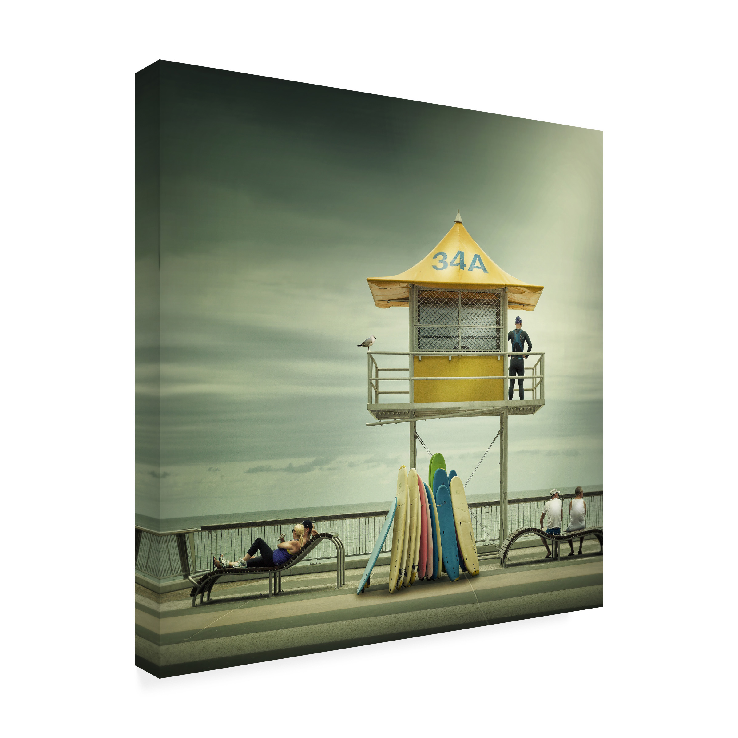 Adrian Donoghue 'The Life Guard' Canvas Art