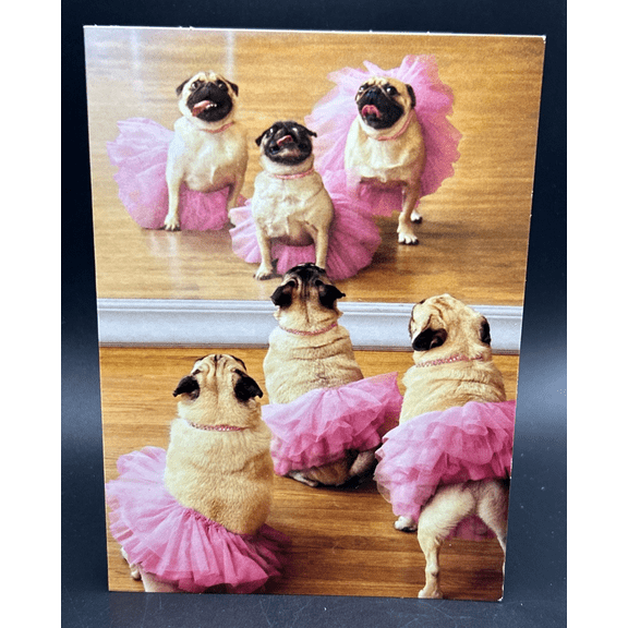 Happy Birthday (Dogs, tutus) Greeting Card w/Envelope