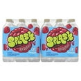 Splash Blast, Ras Flavored Water, Zero Sugar, with Electrolytes, 16.9