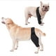 thumbnail image 2 of Dog Recovery Sleeve Front Rear Leg Support Brace For Injury Sprain Relieve Pain, 2 of 5