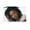 Unframe-style, variant on Lauryn Hill Hip-hop Poster (31) Wall Art Poster Scroll Canvas Painting Picture Living Room Decor Home 12x18inch(30x45cm)