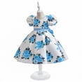 thumbnail image 5 of Bearichfupo Party Dress Kids Children Girls Long Sleeve Princess Dress Flower Prints Bowknot, Sizes 4-5 Years, 5 of 6