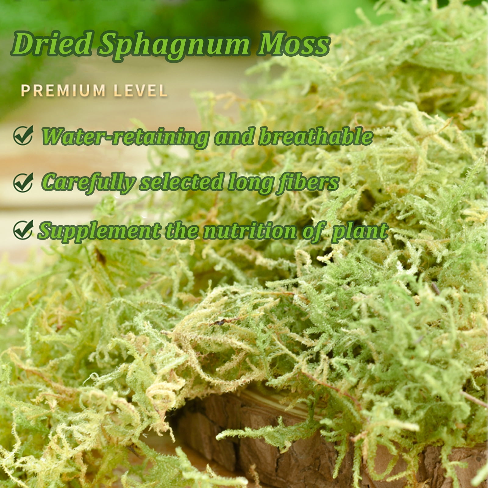Natural Forest Moss for Plants and Reptiles Dried Green Sphagnum Moss Potting Mix for Orchid Plants Succulent Reptiles