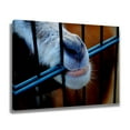 thumbnail image 2 of Goat Snout Animal Billy Goat Canvas Poster Bedroom Decor Sports Landscape Office Room Decor Gift,Frame-style,12x18inch(30x45cm), 2 of 8