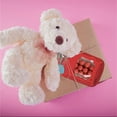 thumbnail image 5 of BQBQERT 50 Pcs Valentines Day Cards Jars Happy Valentines Cards Funny Valentines Exchange Card for Boy Girl, 5 of 8
