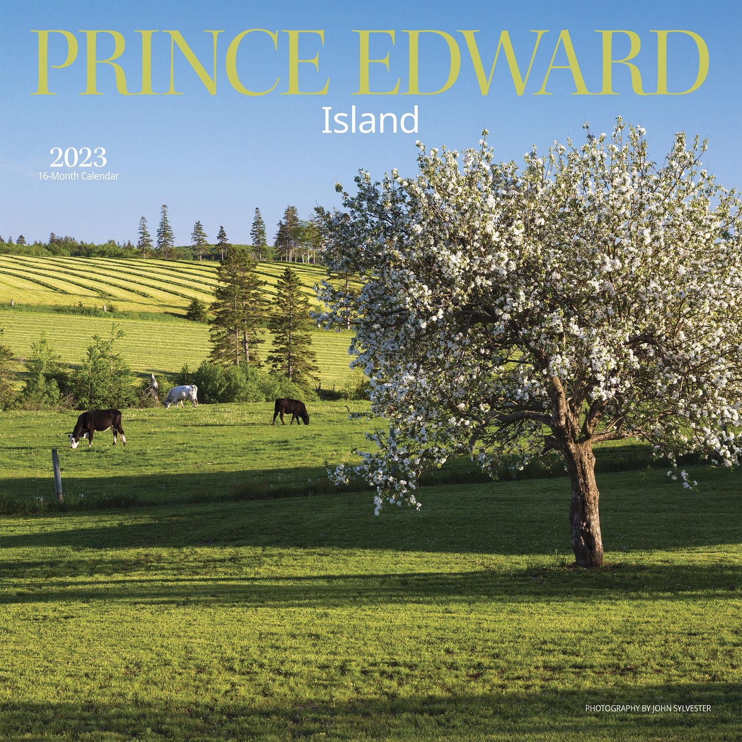 Prince Edward Island 2023 Square