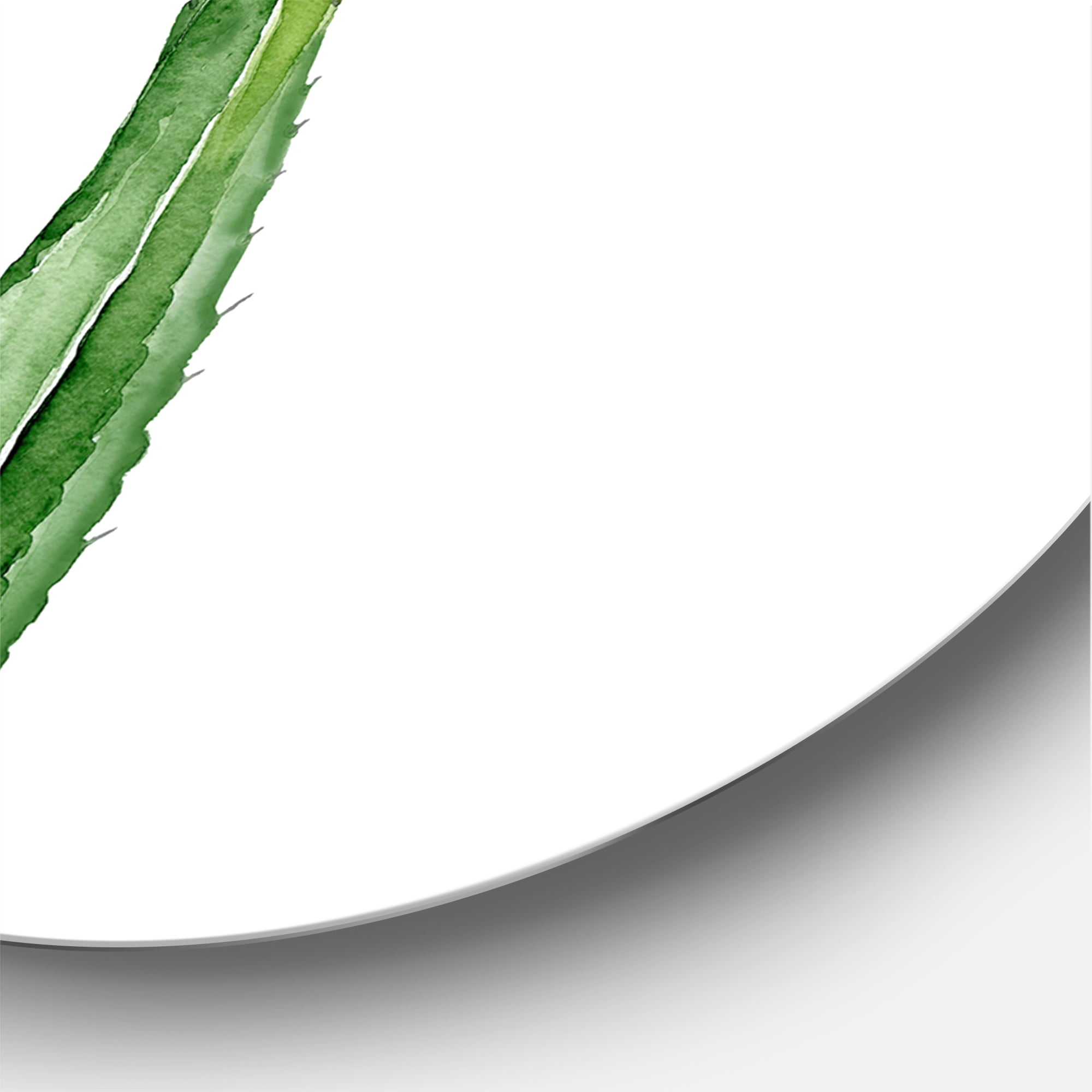 Designart 'Green Cactus South Western Plant' Tropical Circle Metal Wall Art 23x23 - Disc of 23