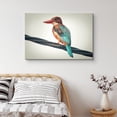 thumbnail image 1 of PixonSign Canvas Print Wall Art Red and Teal Kingfisher Bird Birds Wildlife Photography Realism Contemporary Relax/Calm Multicolor Ultra for Living Room, Bedroom, Office - 32"x48", 1 of 5