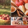 thumbnail image 2 of Yankee Candle Scent Plug Refill, Cider House (Pack of 3), 2 of 7