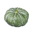 thumbnail image 5 of Jumbo Foam Pumpkin 13.7 Inch - Artificial Paintable Pumpkin for Fall Decorations, Realistic Thanksgiving and Halloween Decor for Indoor Outdoor Home, Table, and Kitchen Display, 5 of 6