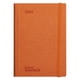 thumbnail image 1 of Libreta Agenda Ejecutiva Ferrini Blocco Dinamico 96h C7, 1 of 5