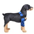 thumbnail image 2 of Abrazadera De La Pierna Delantera Del Perro Mascota, Envoltura De La Articulación De La Del Canino De La Pierna Del Perro Protege Las Heridas Azul - S Colco Soporte de la rodilla del perro, 2 of 8
