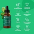 thumbnail image 2 of Aceite de Moringa Puro 100% Extraherbos 30ml - Orgánico, Prensado en Frío, Facial y Capilar, Antiedad, Rico en Vitamina E - Hidratación Profunda, Elasticidad y Reducción de Arrugas, 2 of 4