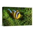 thumbnail image 1 of Global Gallery Barathieu Gabriel,'Yellow Clownfish On Green Anemon' Stretched Canvas Artwork, 1 of 3