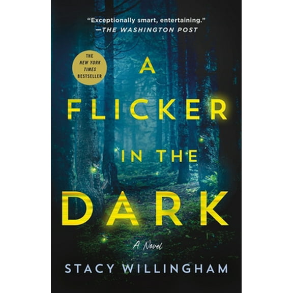 Pre-Owned A Flicker in the Dark (Paperback) 1250803845 9781250803849