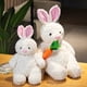 thumbnail image 4 of Peluche suave de oso marrón para niños, Panda Kawaii, conejo blanco, animales, juguetes para niños, regalo de cumpleaños, recién llegado, 1pc, 4 of 5