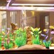 thumbnail image 4 of 10 piezas de plantas decorativas de plástico para acuario, decoración de acuario, accesorios decorativos para peceras., 4 of 5