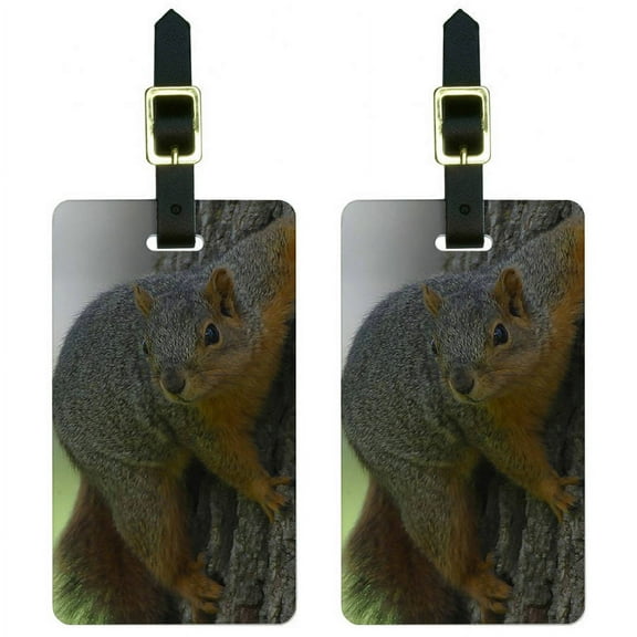 Squirrel Luggage Tags Suitcase Carry-On ID, Set of 2