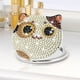 thumbnail image 1 of Cuadros Decorativos Pintura de espejo de maquillaje de mosaico de arte de diamante DIY por Kits de números gato para adultos y niños Wdftyju embutido en tela, 1 of 8